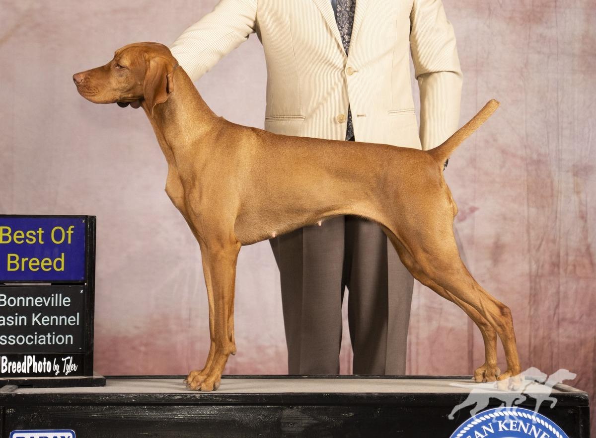 Mythic Starstone Supernova At Comynara