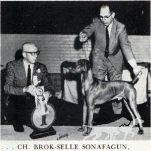 Brok Selle Son of A Gun / Wolfe's Brok Selle