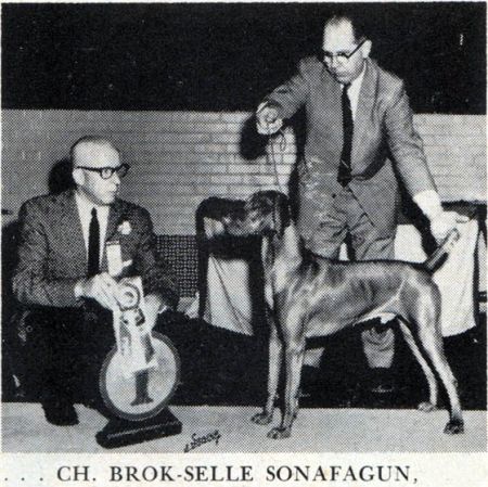 Brok Selle Son of A Gun / Wolfe's Brok Selle