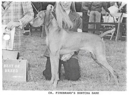 Firebrand's Dontcha Dare