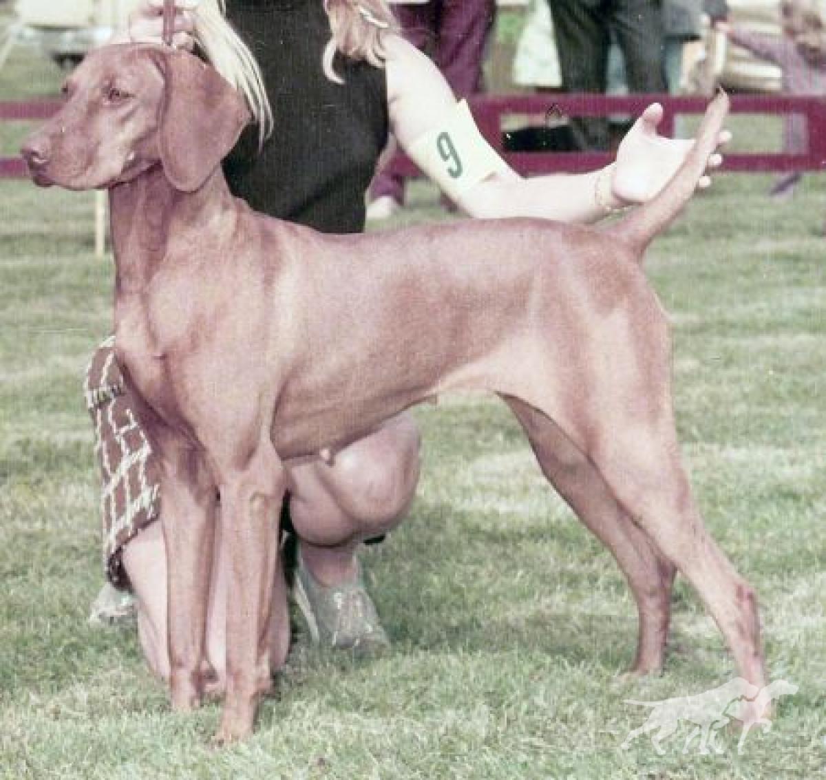 Lady Little-Bit Smith