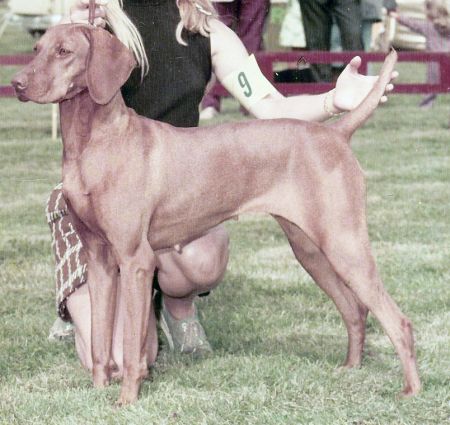 Lady Little-Bit Smith