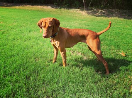 Ck Touchdown Daisy May