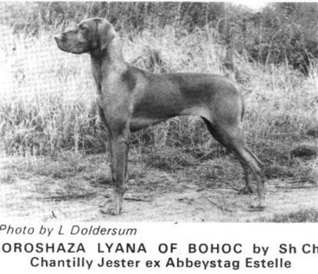Oroshaza Lyana of Bohoc