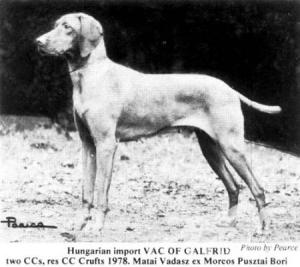 Mocsarkereso Vac of Galfrid