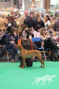 Etlantis Petronus