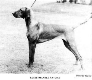 Russetmantle Katcha