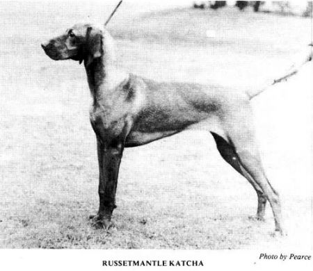 Russetmantle Katcha