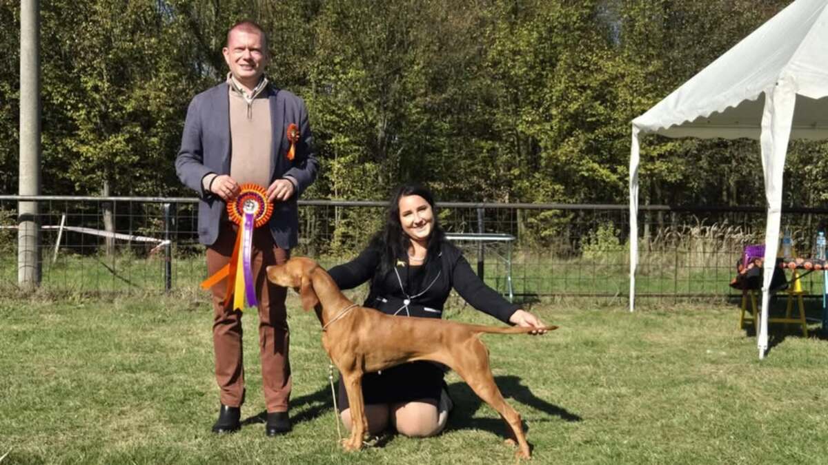 Somlóhegyi Napsugár