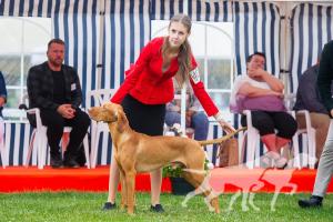 Bruno Cabama Crazy Hunter