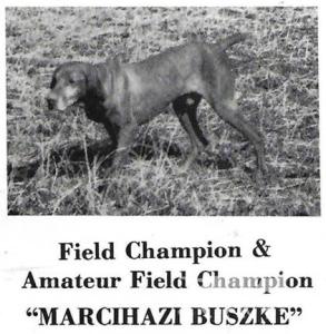 Marcihazi Buszke