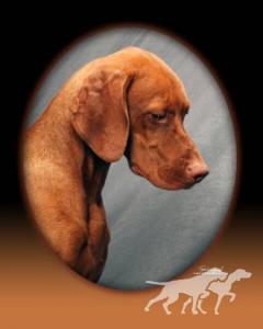 Lagniappe Sir Ruger Huntmore