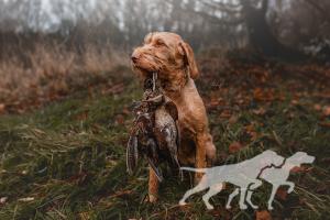 Brise von der Westernheide