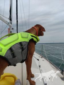 Moka's Mighty Mackinac