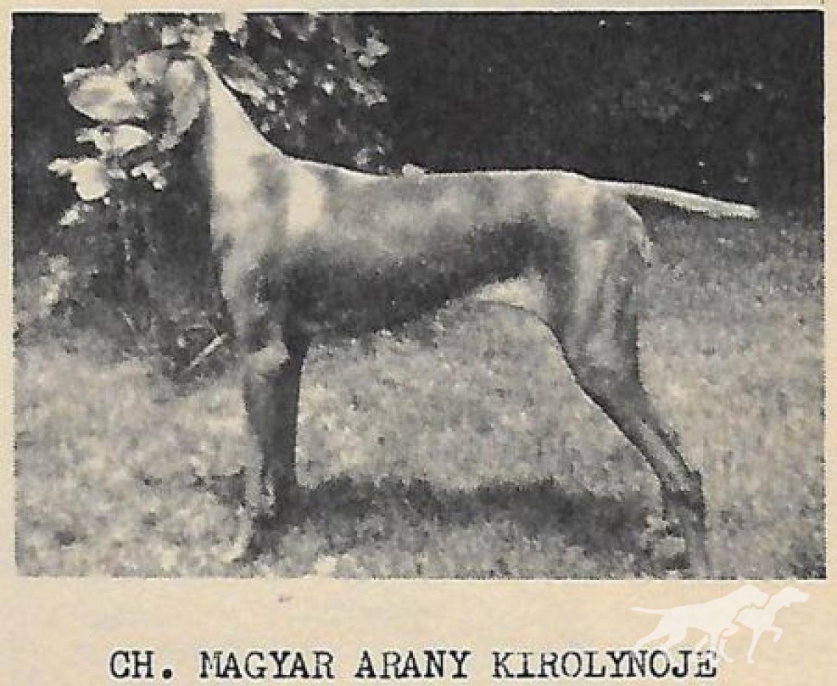 Magyar Arany Kiralynoje / Magyar Kiralynoje