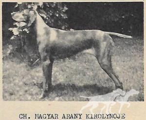 Magyar Arany Kiralynoje / Magyar Kiralynoje