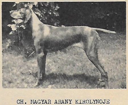 Magyar Arany Kiralynoje / Magyar Kiralynoje