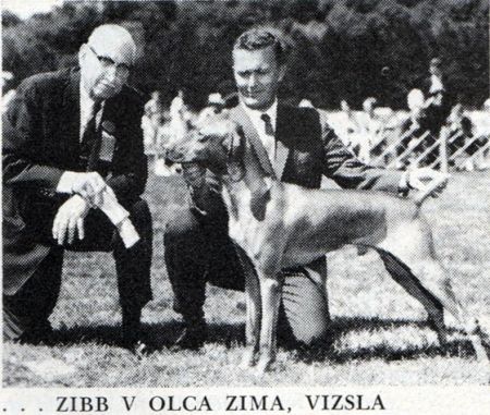 Zibb v Olca Zima
