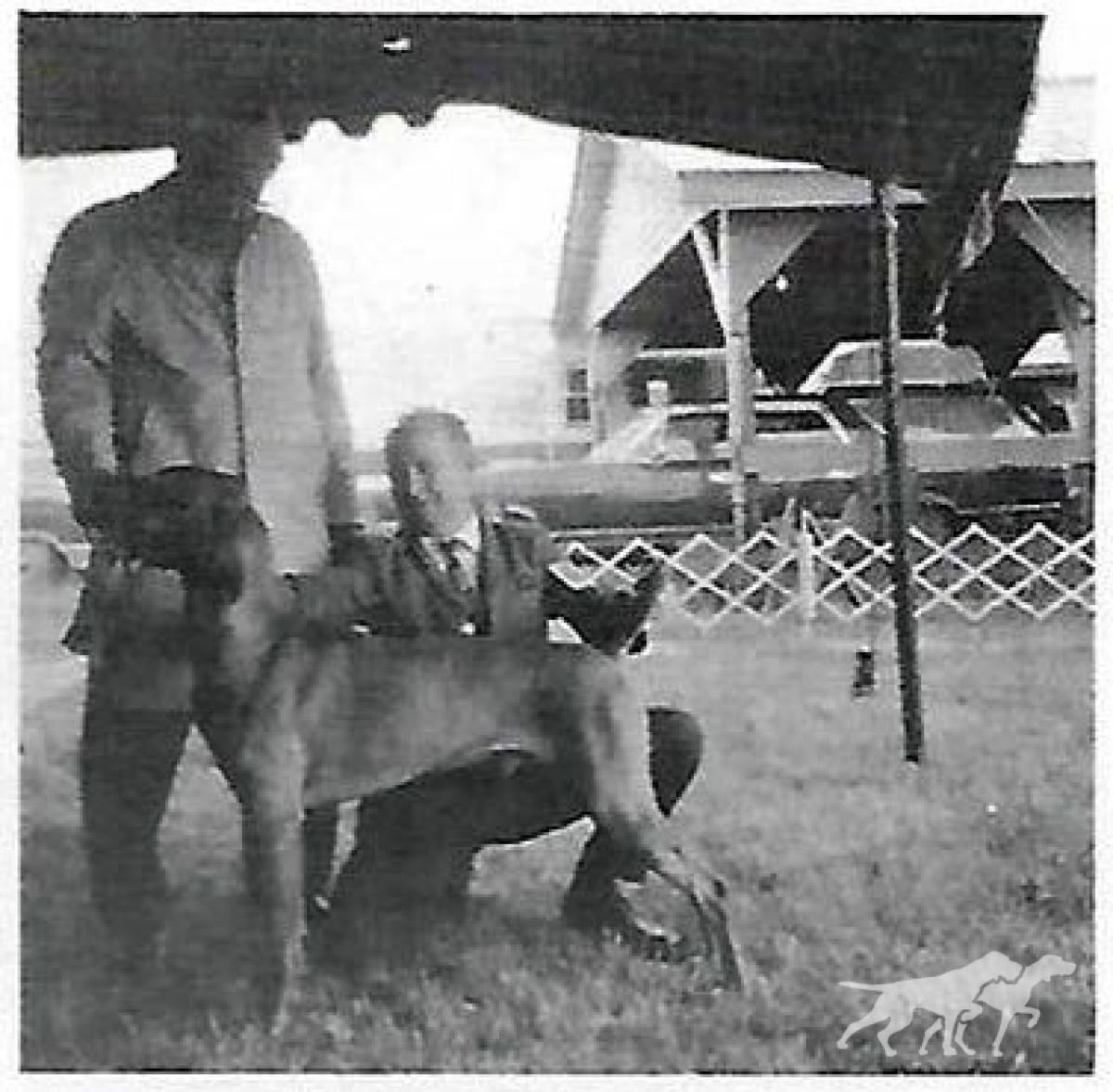 Jodi's Mickey Finn