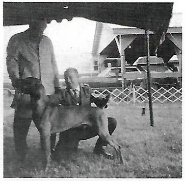 Jodi's Mickey Finn