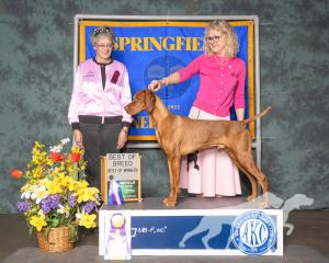 Legendary Pretty Thing Odair Odds Are In His Favor