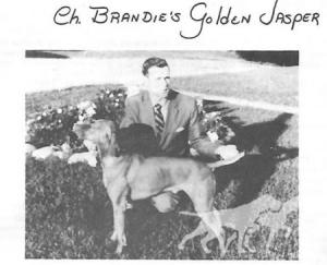 Brandie's Golden Jasper
