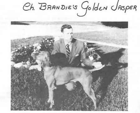 Brandie's Golden Jasper
