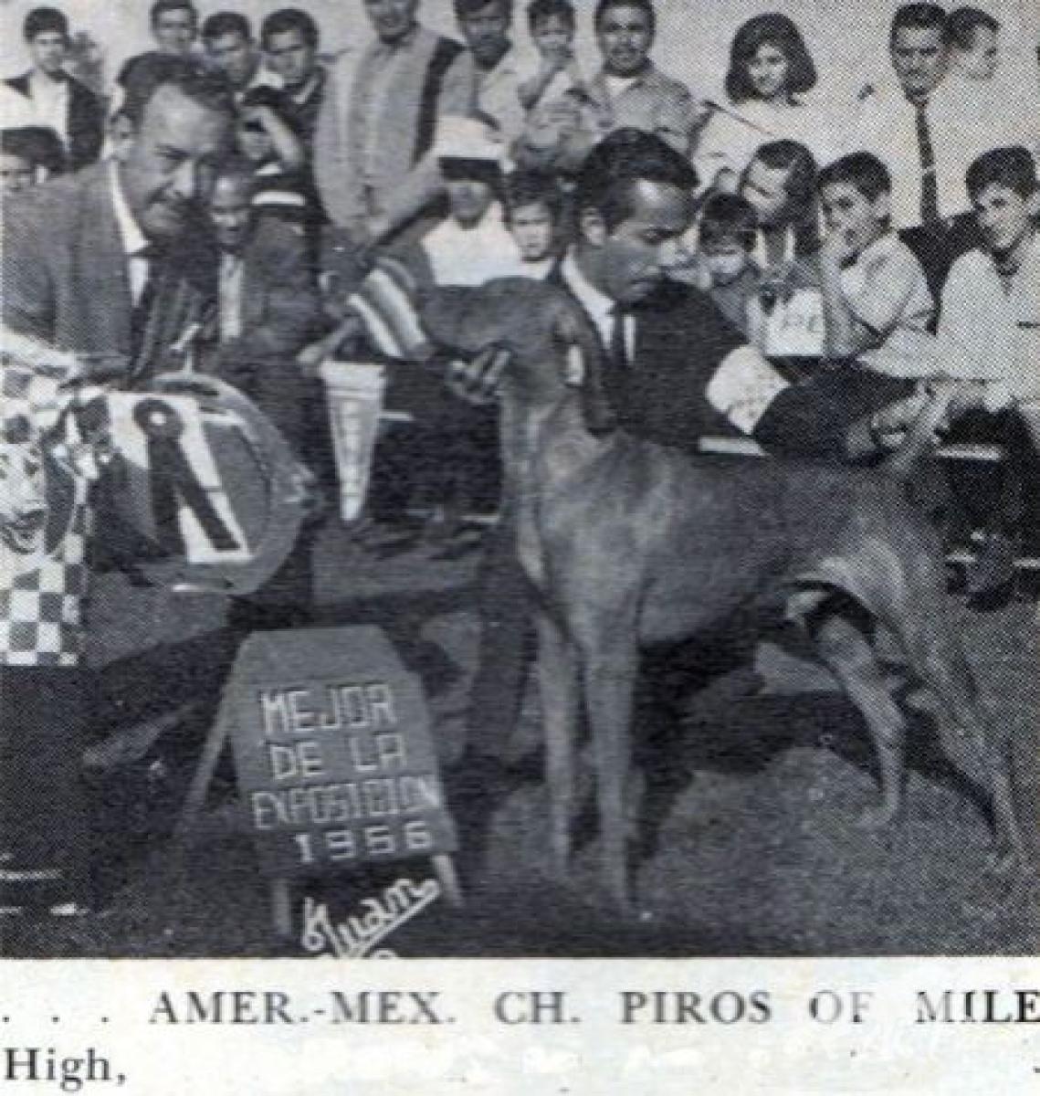 Piros Of Mile High