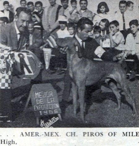 Piros Of Mile High