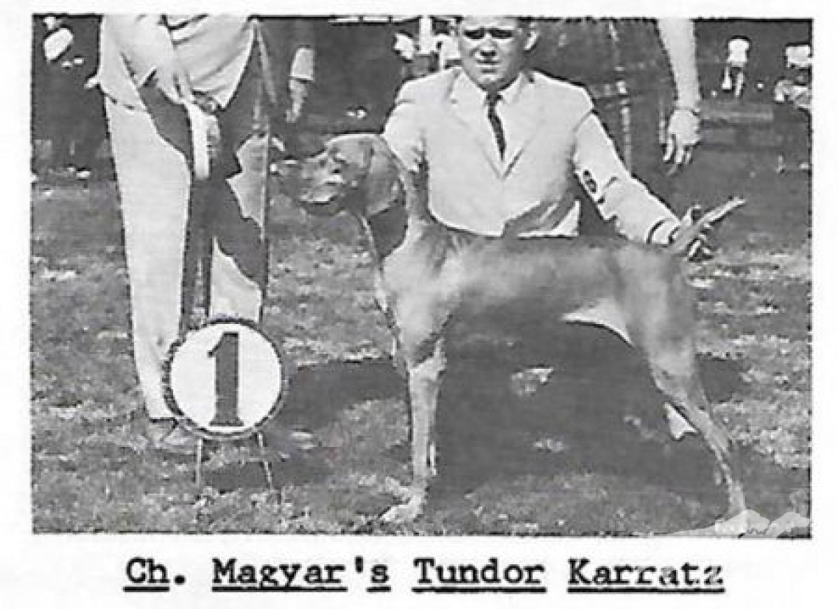 Magyar's Tundor Karratz