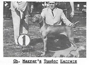 Magyar's Tundor Karratz