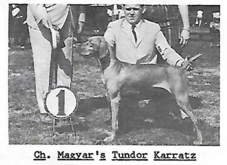 Magyar's Tundor Karratz