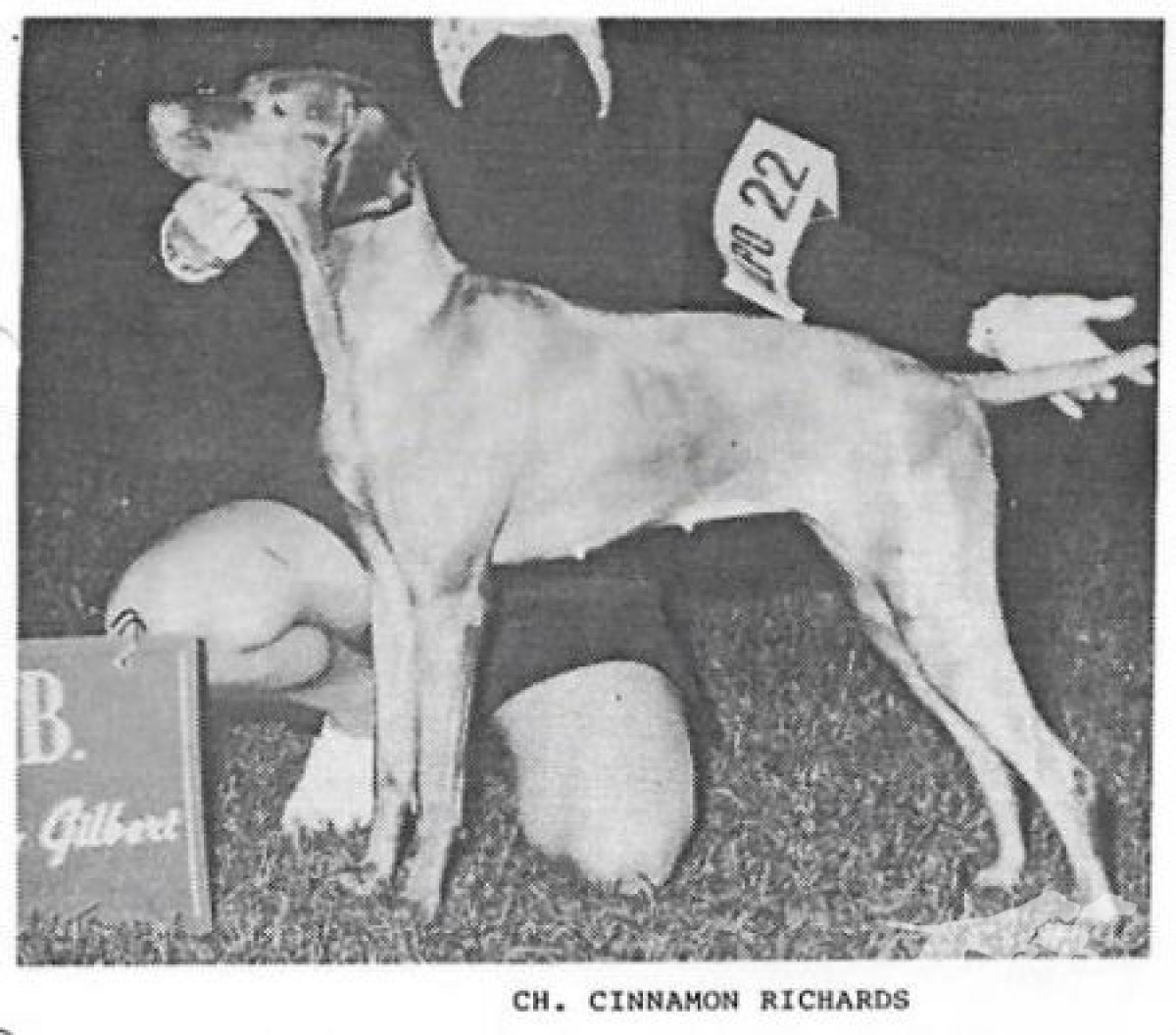Cinnamon Richards
