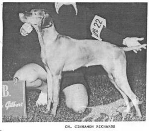 Cinnamon Richards