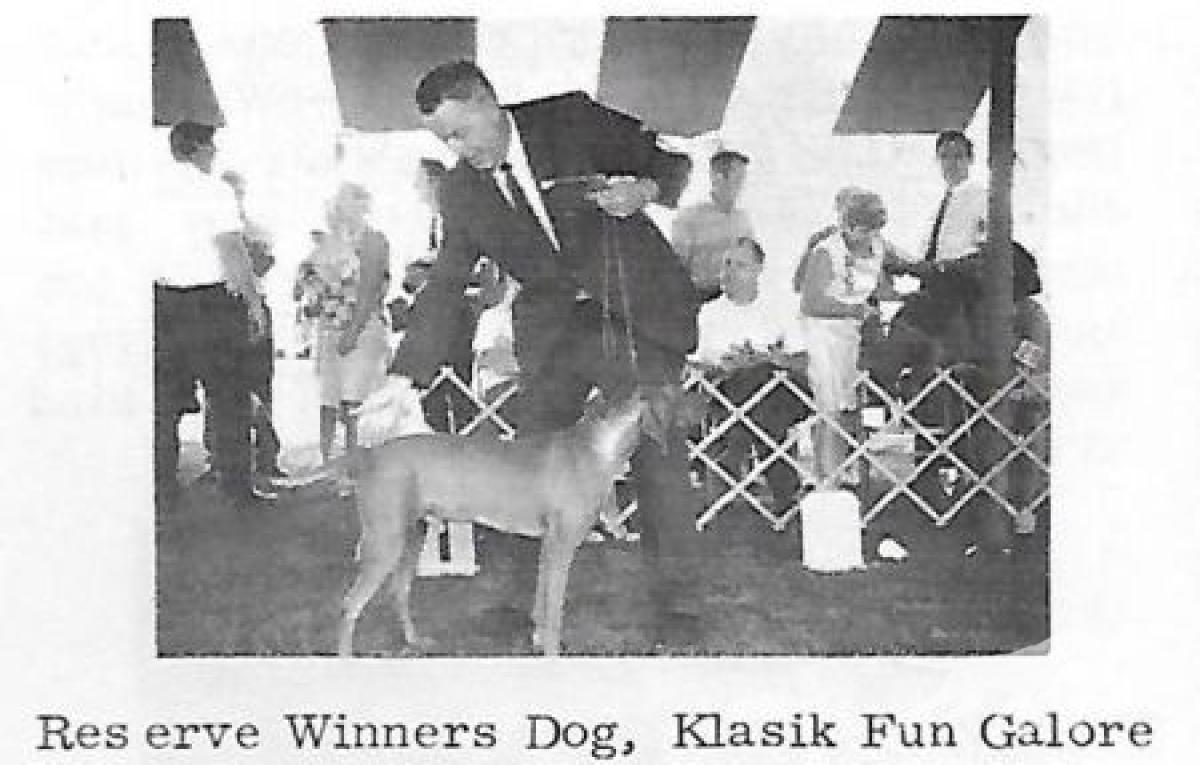 Klasik Fun Galore