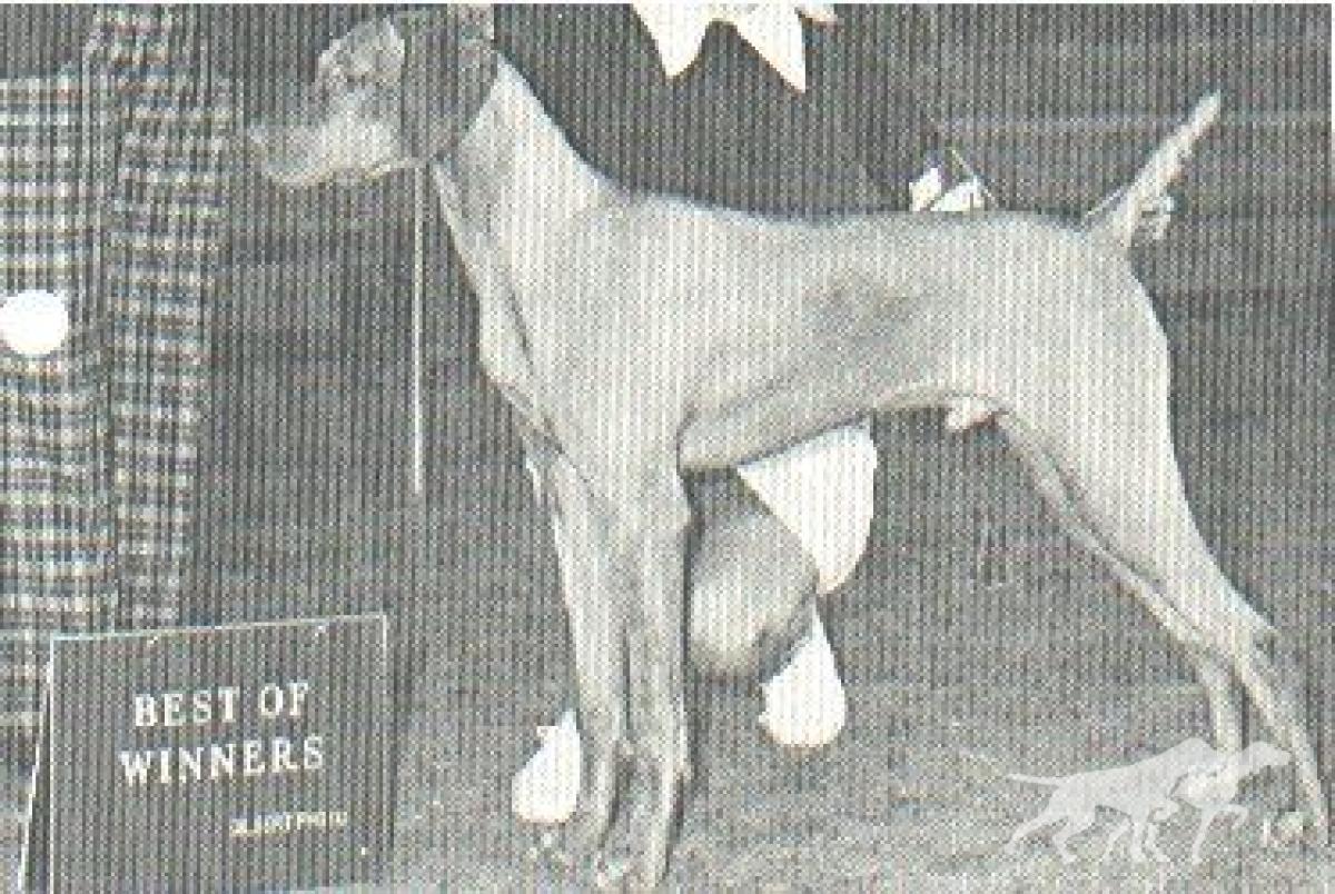Bayzil Richards