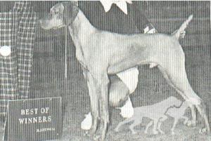 Bayzil Richards