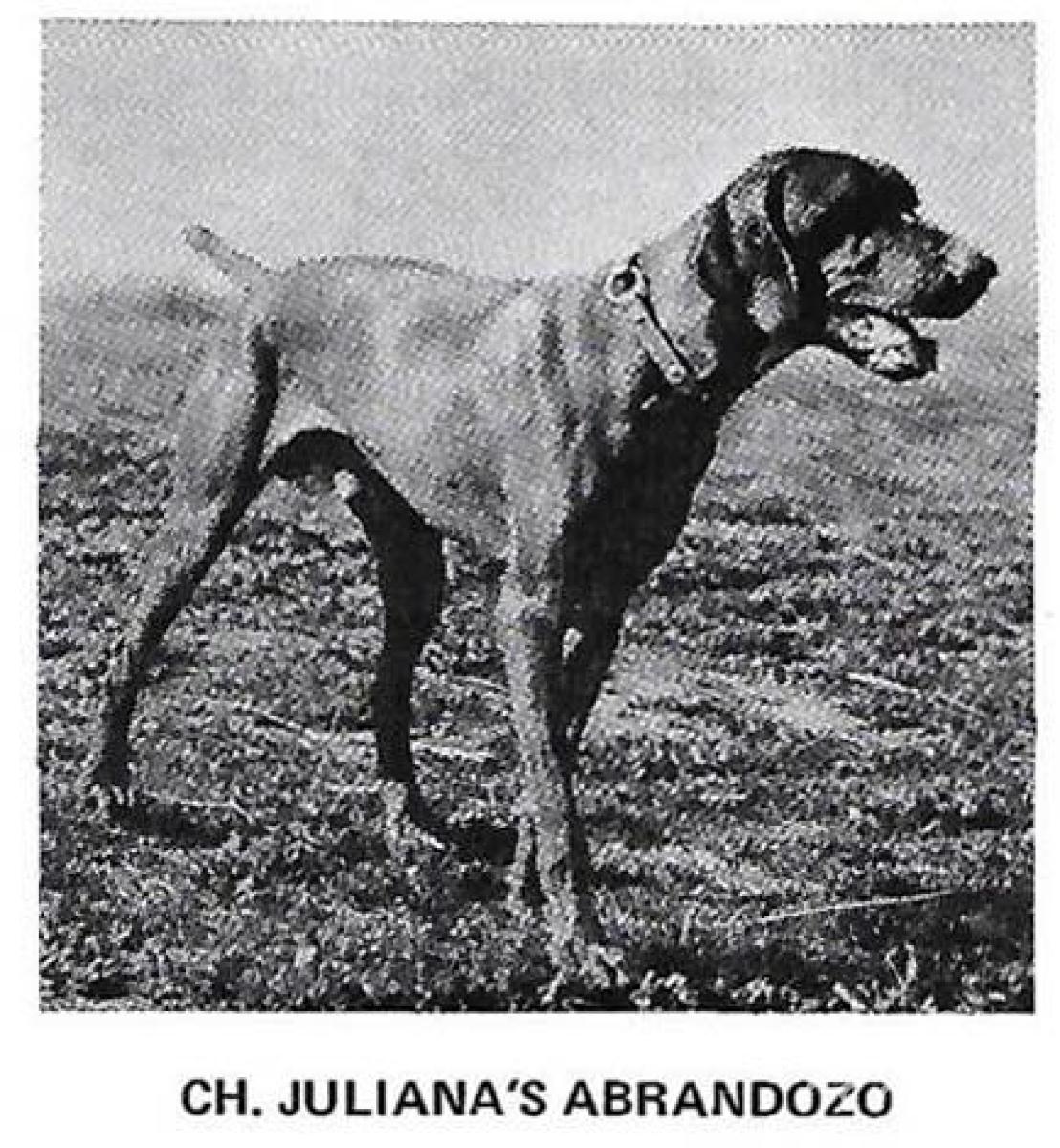 Juliana's Abrandozo