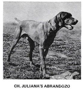 Juliana's Abrandozo