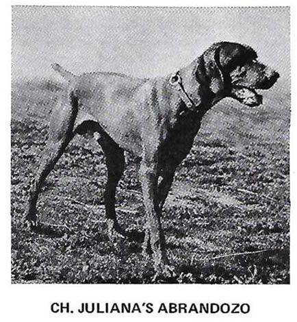 Juliana's Abrandozo
