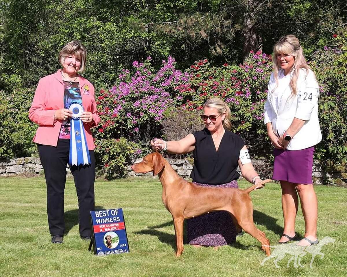 Bender-N-Tierah's Queen Of Hearts