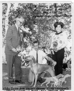 Morog v Hunt