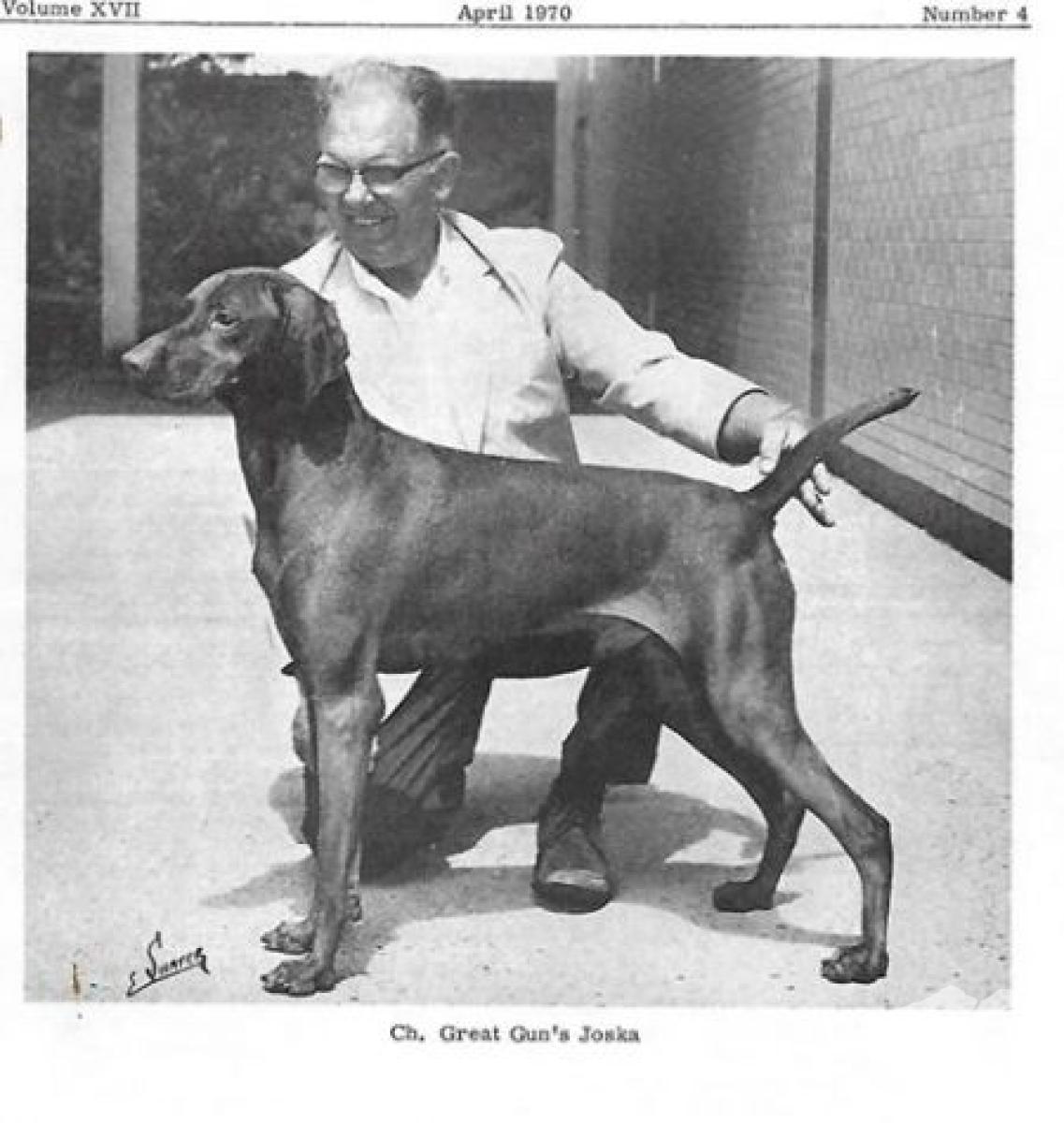 Great Gun's Joska