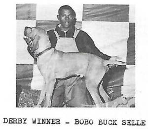 Bobo Buck Selle