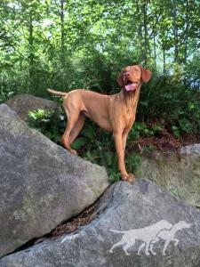 Lady Ruby-Rue