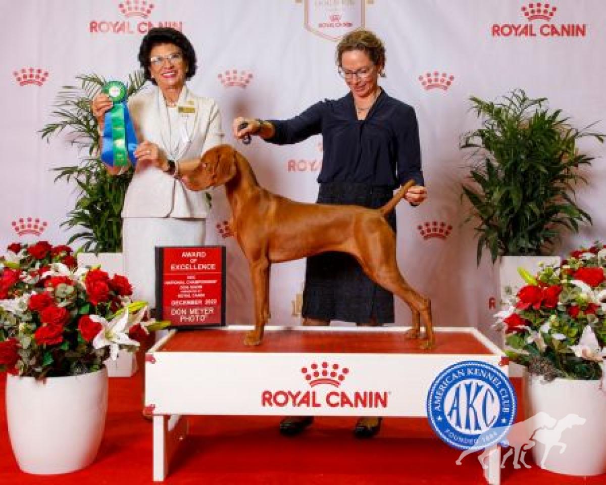 Renaissance N Brittania's Changing The Game / *