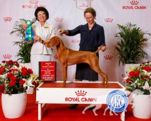 Renaissance N Brittania's Changing The Game / *