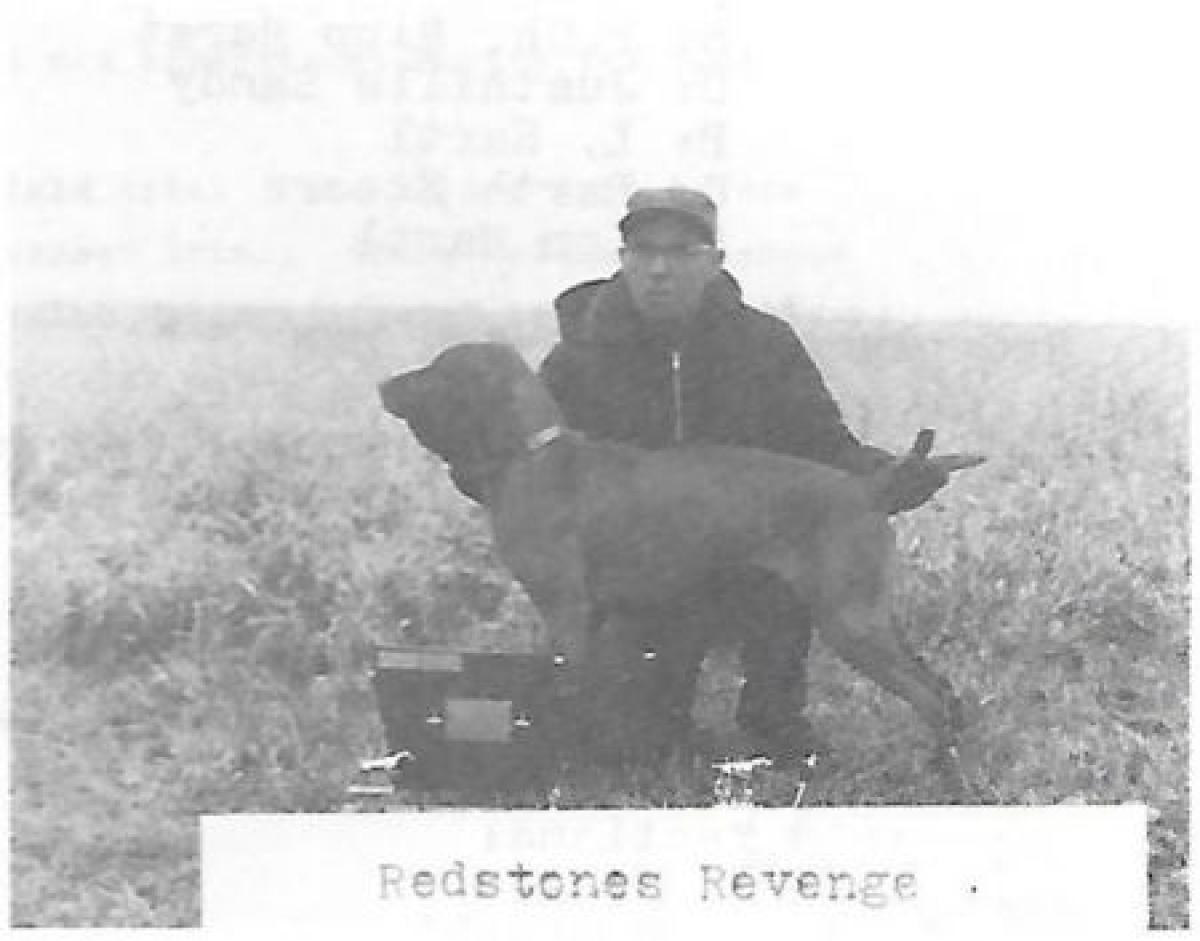 Redstone's Revenge
