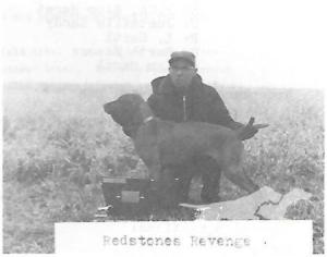 Redstone's Revenge