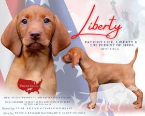 Patriot Life Liberty & The Pursuit Of Birds *